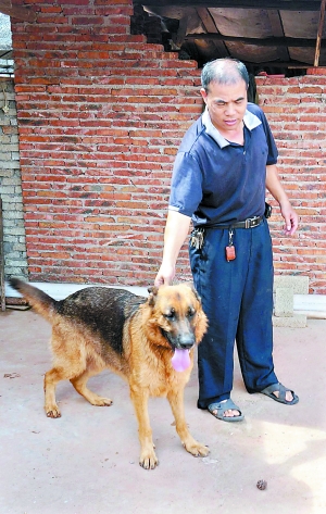 BJL平台-什么？竟有人以为迈克尔·贝最好的作品是《变形金刚