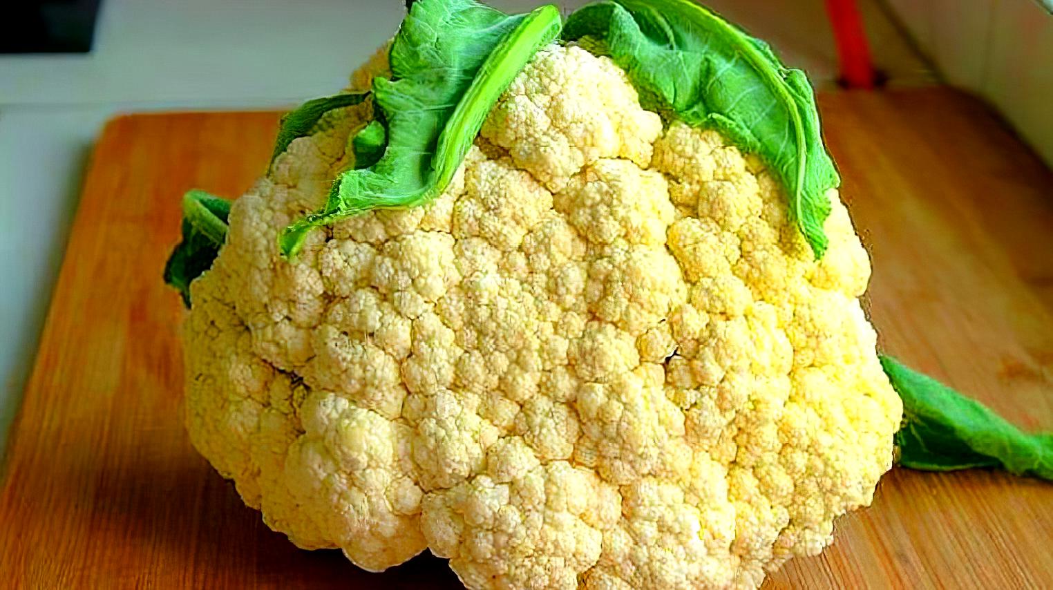 猫和老鼠手游3.29测试延迟开服公告|BJL平台集团