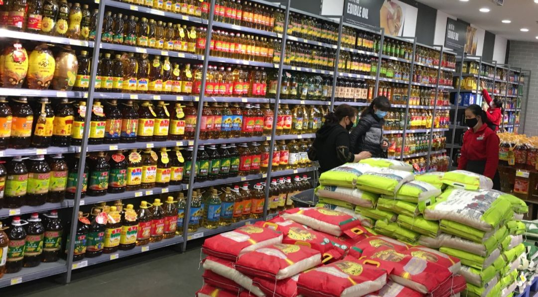 BJL平台_江西卫视点赞新番《工作细胞》 称其为“爱的教育”