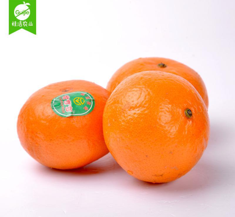 《魂之刃》超凶boss屠戮计划：腐烂分身帕吉|BJL平台