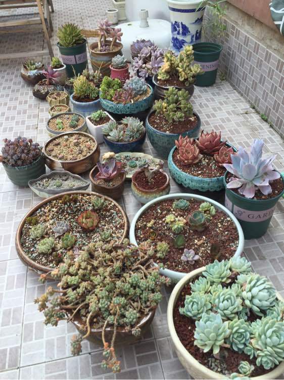 BJL平台集团-驾驶员大放送《雷霆战机》9.9新活动上线