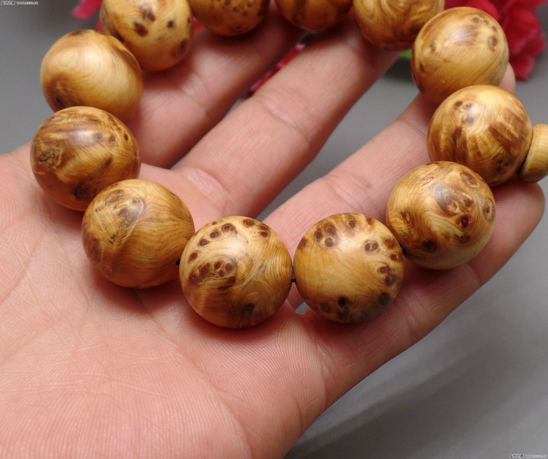 CJ见! 幻想风即时轻竞技手游《至尊法师》正式亮相：BJL平